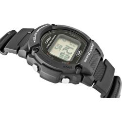 Мужские часы Casio STANDARD Digital Sport W-219H-1A