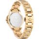 Женские часы Philipp Plein PLEIN MAJESTY Ppwofa0725