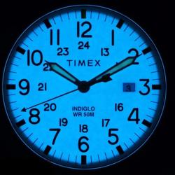 Мужские часы Timex ALLIED Tx2r60900
