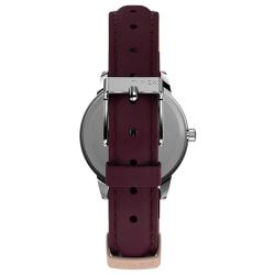Женские часы Timex EASY READER Tx2u96300