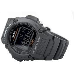 Мужские часы Casio STANDARD Digital W-219H-8BVEF