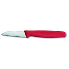 Нож Victorinox STANDARD Paring 5.0301