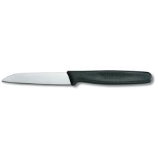 Ніж Victorinox STANDARD Paring 5.0403