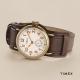 Часы 38 мм Timex WELTON Tx2r87900