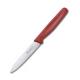 Ніж Victorinox STANDARD Paring 5.0701