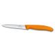 Нож Victorinox SWISS CLASSIC Paring 6.7736.L9