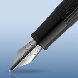 Ручка перьевая Waterman EMBLEME Black CT FP F