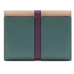 Портмоне Piquadro RAY (S126) Light Green-Powder Pink PD5216S126R_VERO