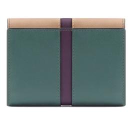Портмоне Piquadro RAY (S126) Light Green-Powder Pink PD5216S126R_VERO