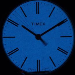 Жіночий годинник Timex ORIGINALS Tonal Tx2p78200
