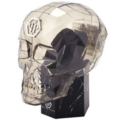 Жіночий годинник Philipp Plein DATE SUPERLATIVE Ppw2ba0523