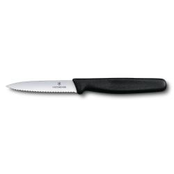 Ніж серейторний 8 см Victorinox STANDARD Paring 5.3033
