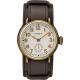 Часы 38 мм Timex WELTON Tx2r87900