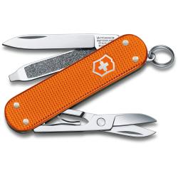 Швейцарський складаний ніж 58мм Victorinox CLASSIC Limited Edition 0.6221.L21