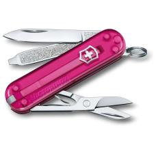 Швейцарский складной нож 58мм Victorinox CLASSIC SD Colors 0.6223.T5G