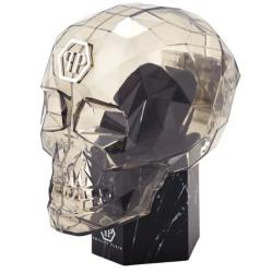 Жіночий годинник Philipp Plein DATE SUPERLATIVE Ppwyaa0523